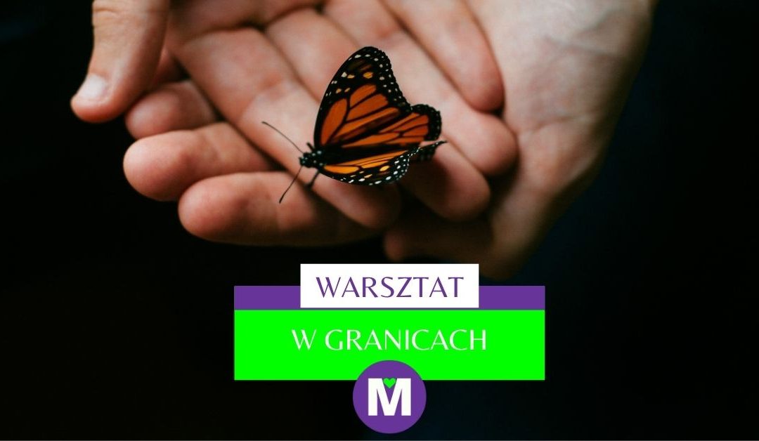 motyl w męskich dłoniach